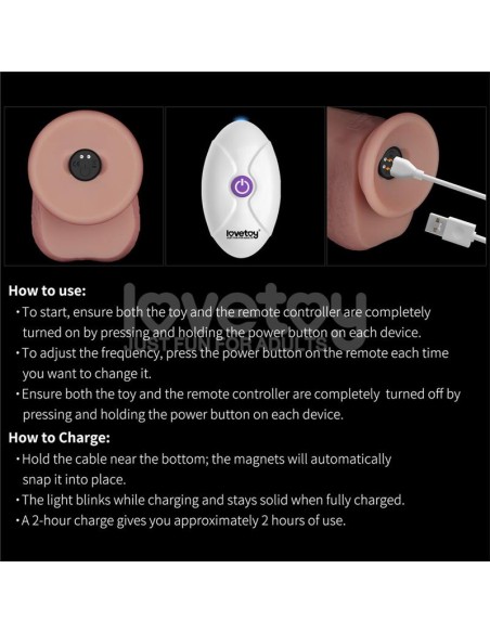 Dildo con Vibracion Piel Deslizante Silicona Dual Layer 8