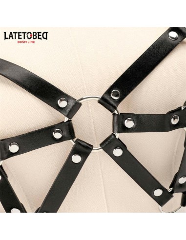 Arnes de Pecho Ajustable