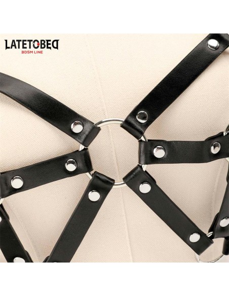 Arnes de Pecho Ajustable