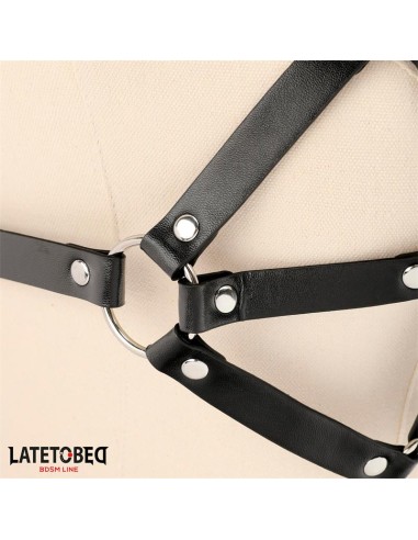 Arnes de Pecho Ajustable