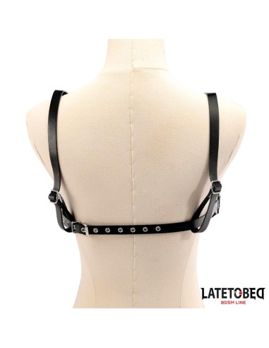 Arnes de Pecho Ajustable