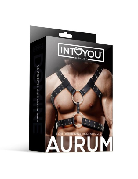 Aurum Arnes Masculino para Bondage Cuero Vegano