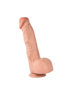 August Dildo Dual Layer 11 2