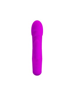 Vibrador Ansel USB Silicona Purpura 2