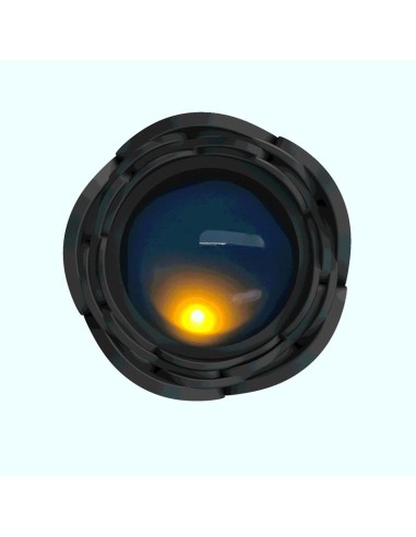 Tarion Plug Anal con Vibracion y Thrusting