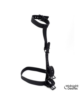 Set de Restricciones con Collar y Esposas 2