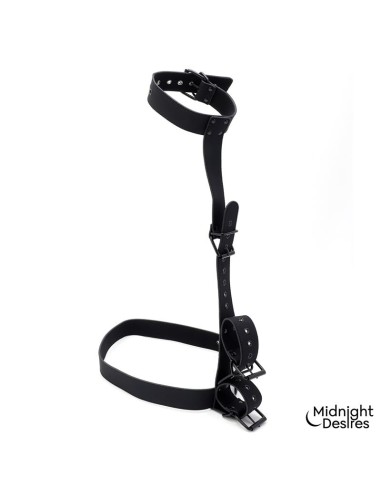 Set de Restricciones con Collar y Esposas