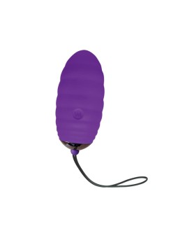 Huevo Vibrador Ocean Breeze 20 con Control Remoto Purpura 2