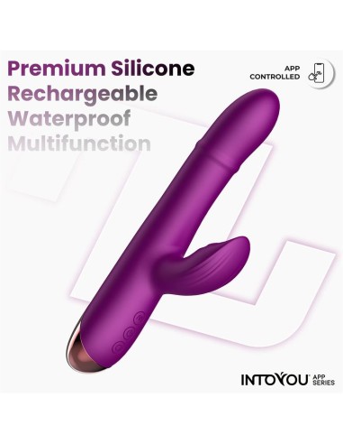 Sendel Vibrador con Anillo de Bolas Internas Up and Down y Pulsacion con App