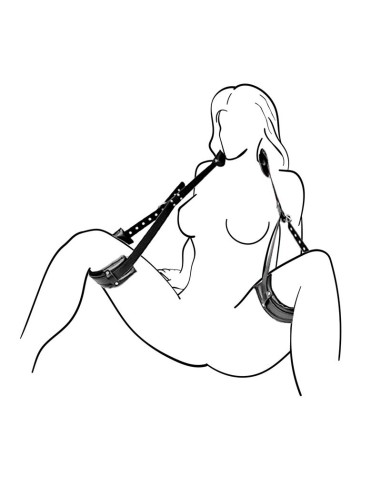 Restricciones Supremacy