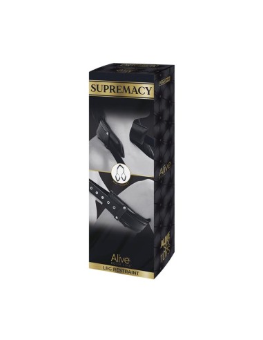 Restricciones Supremacy