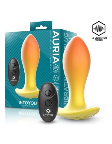 Auria Plug Anal con Vibracion y Control Remoto USB C