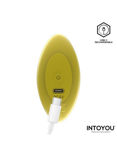 Auria Plug Anal con Vibracion y Control Remoto USB C