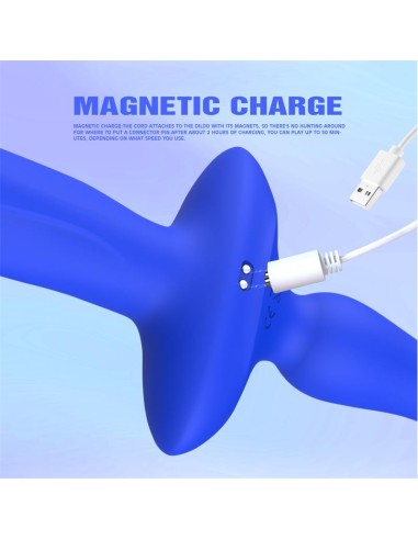 Ritter Vibrador y Plug Anal