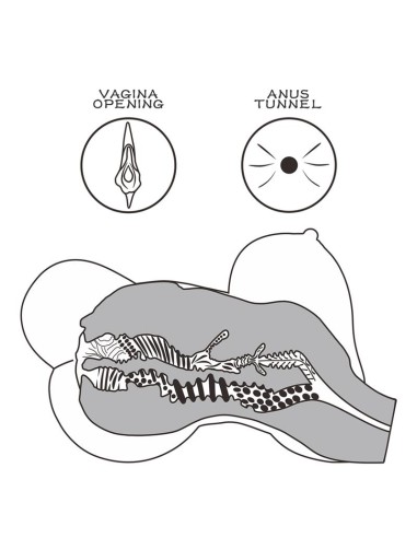 Masturbador Streetgirls 6