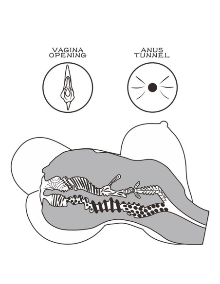 Masturbador Streetgirls 6