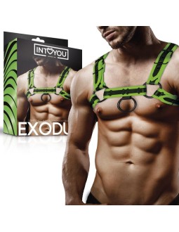 Arnes Bondage para Pecho que Brilla en la Oscuridad