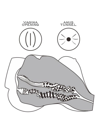 Masturbador Streetgirls 7