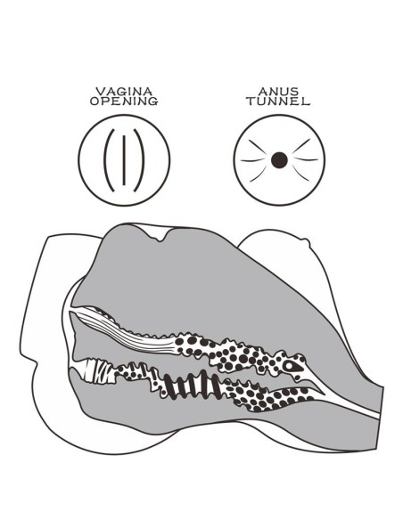 Masturbador Streetgirls 7