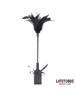 Multi Feathers Tickler and Lace Ribbon Paddle Comb