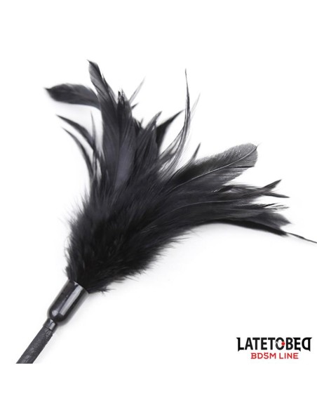 Multi Feathers Tickler and Lace Ribbon Paddle Comb Multi Feathers Tickler and Lace Ribbon Paddle Comb