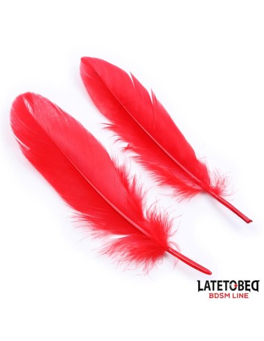 Set de 3 Piezas Antifaz Plumas y Esposas