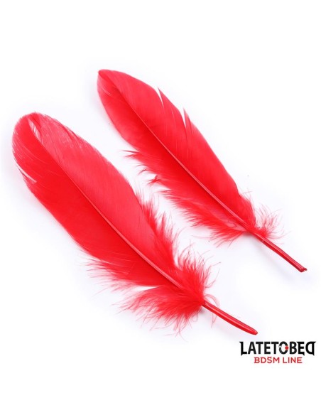 Set de 3 Piezas Antifaz Plumas y Esposas Set de 3 Piezas Antifaz Plumas y Esposas