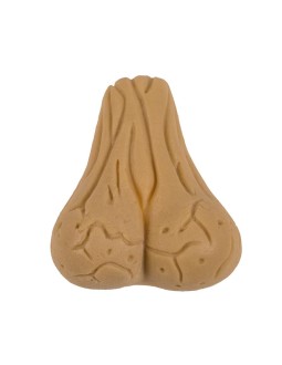 Growing Testicle 4x3 cm 2