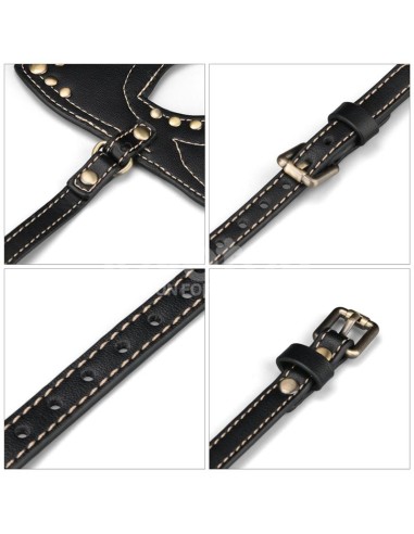 Rebellion Reign Mascara de Gato