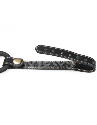 Rebellion Reign Arnes de Cuerpo Entero